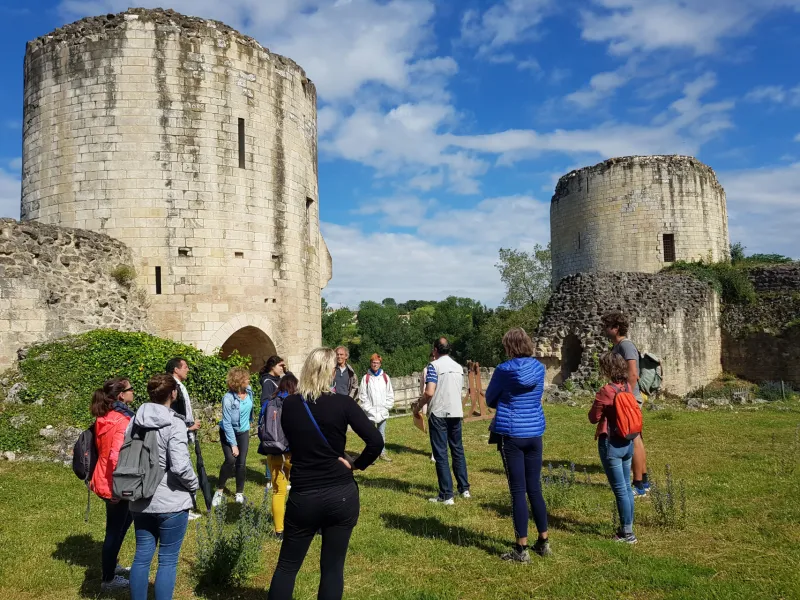 Château de Coudray-Salbart