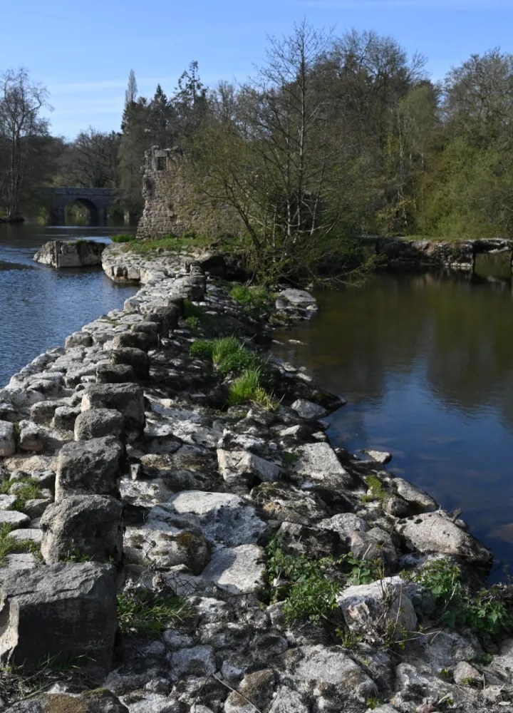 Vallée de la Sèvre Nantaise - La Vélidéale