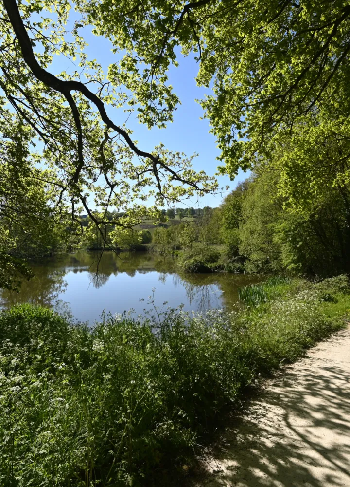 La petite Yvoie, vallée de la Sèvre Nantaise
