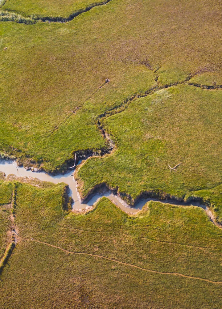 Observatoire du Lavau - Estuaire de la Loire