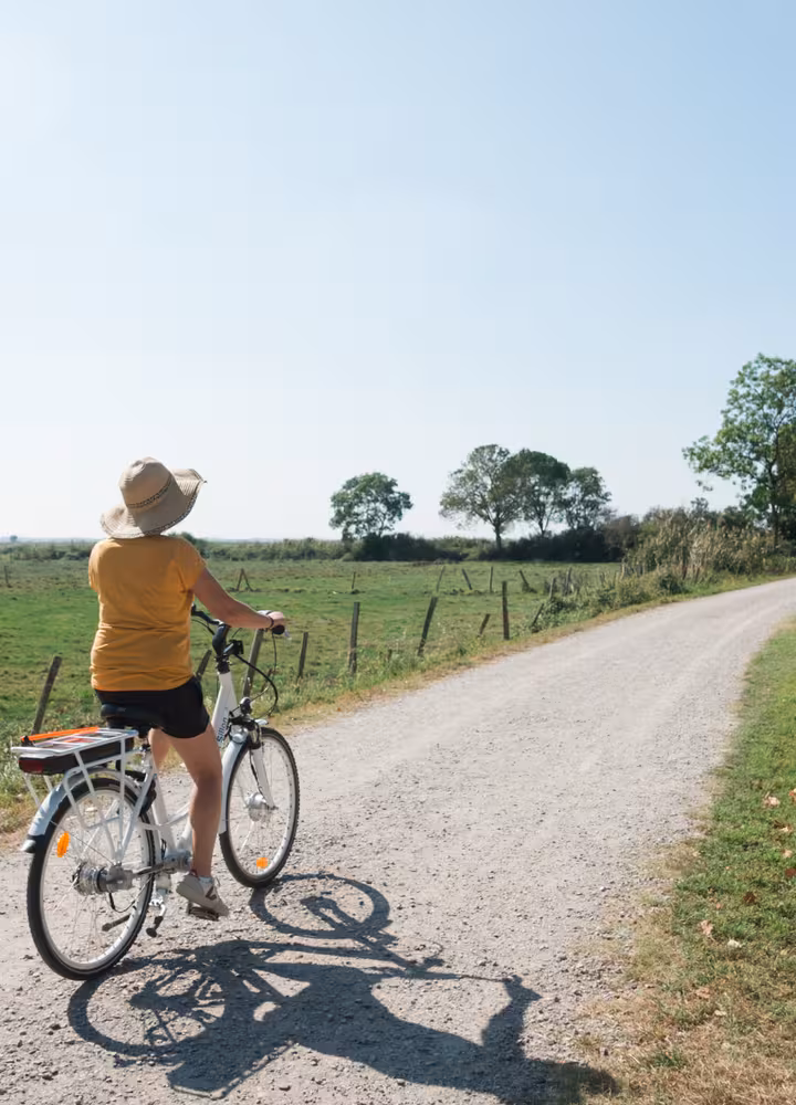Découverte du village de Lavau-sur-Loire à vélo