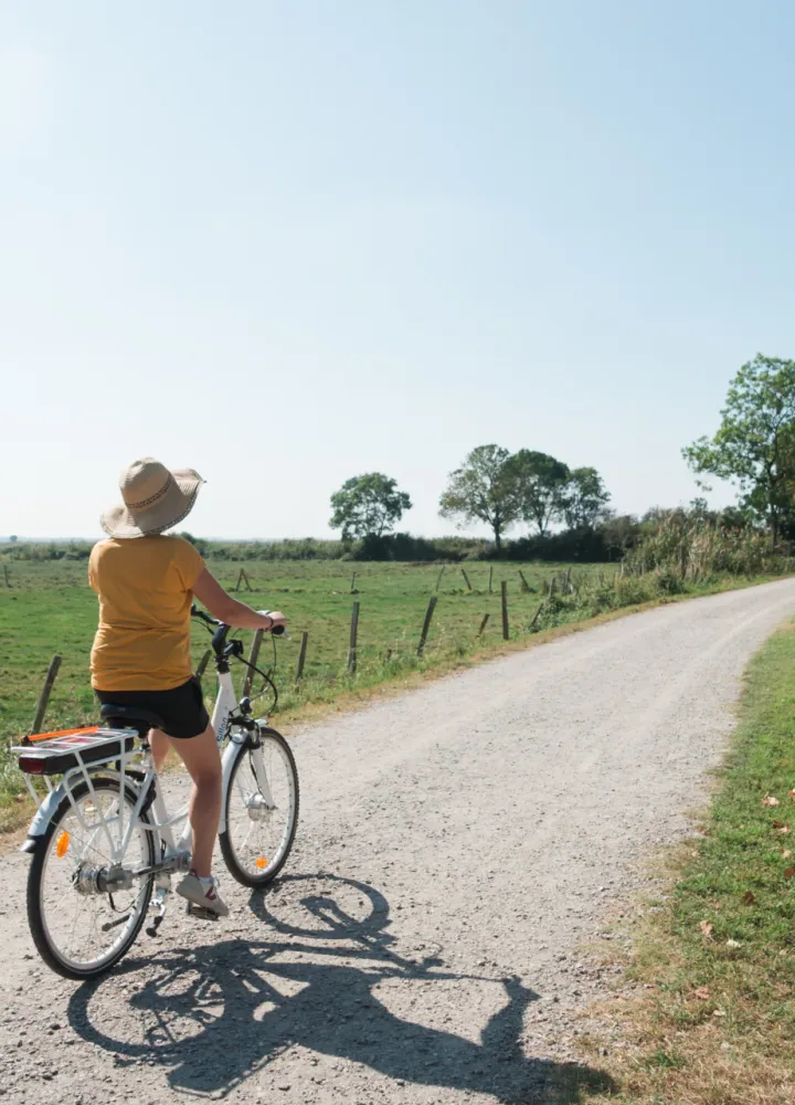 Découverte du village de Lavau-sur-Loire à vélo