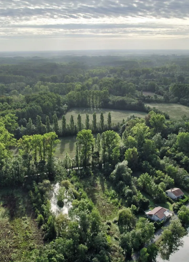 Vue aérienne du Marais Poitevin