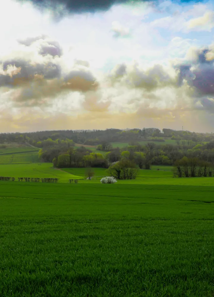 Vallée en Charente