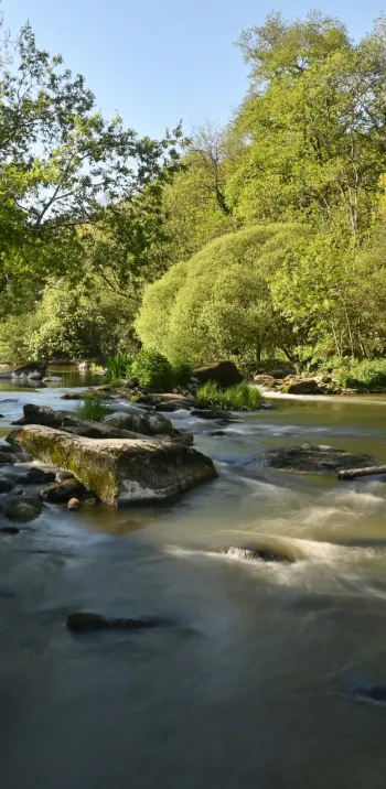 Un environnement riche et diversifié