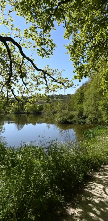La petite Yvoie, vallée de la Sèvre Nantaise