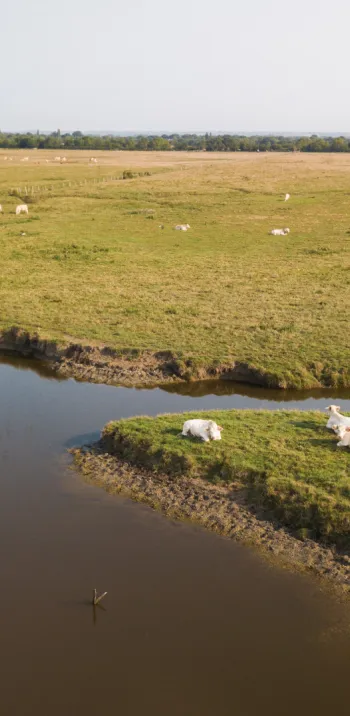 Une zone à forts enjeux écologiques