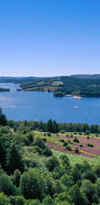 La Lande du Puy la Croix : Creuse