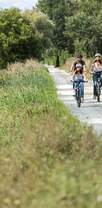 Découverte du Marais Poitevin à vélo