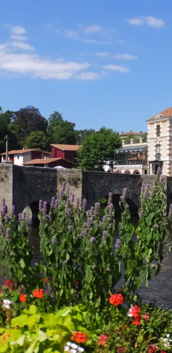 Pont de la Vallée à Clisson