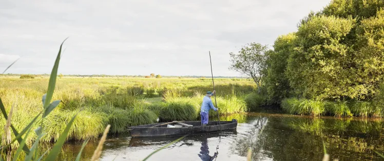 Centre d'interprétation : Ile était une fois Fédrun
