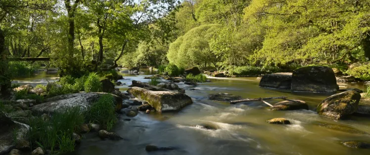 Un environnement riche et diversifié