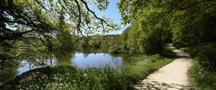 La petite Yvoie, vallée de la Sèvre Nantaise
