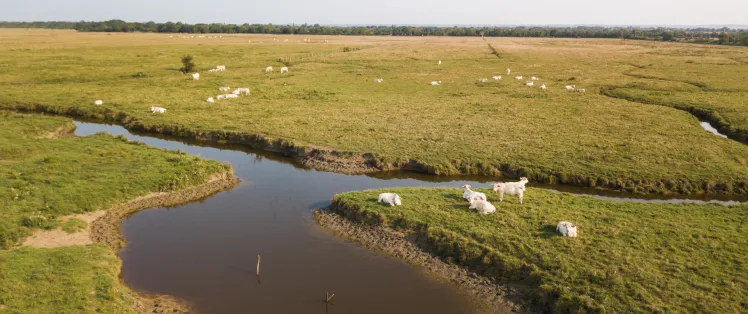 Une zone à forts enjeux écologiques
