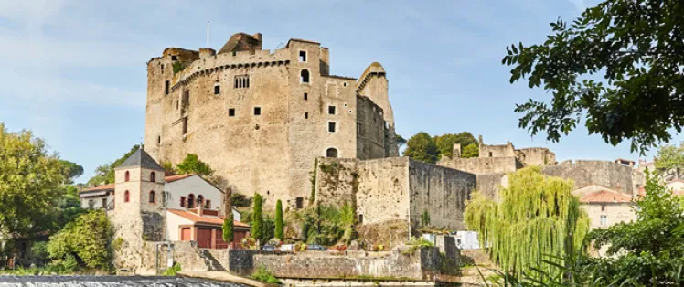 Château de Clisson