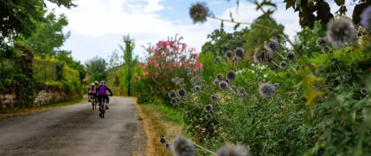 À vélo entre Barro et Condac