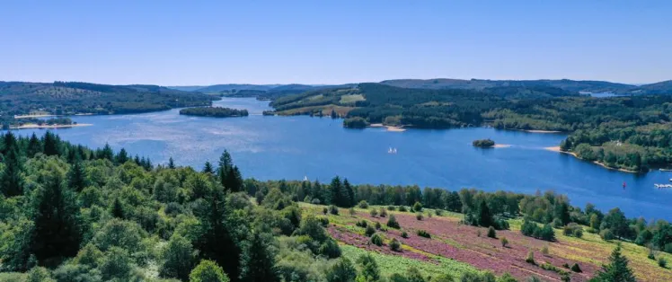 La Lande du Puy la Croix : Creuse