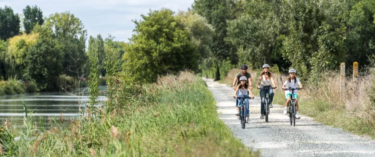 Découverte du Marais Poitevin à vélo