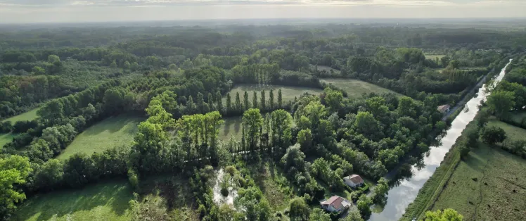 Vue aérienne du Marais Poitevin