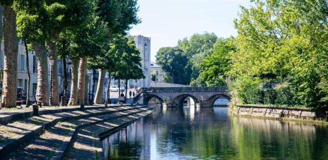 La Sèvre Niortaise à Niort