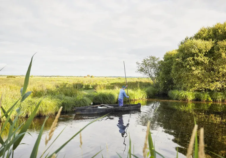 Balade en barque dans le PNR de Brière