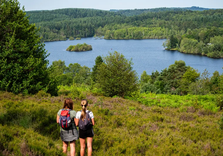 La lande du Puy la croix à Royère de Vassivière