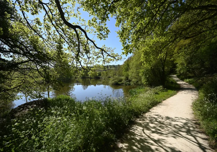 La petite Yvoie, vallée de la Sèvre Nantaise