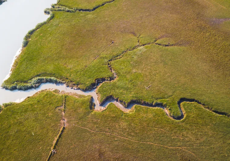 Observatoire du Lavau - Estuaire de la Loire