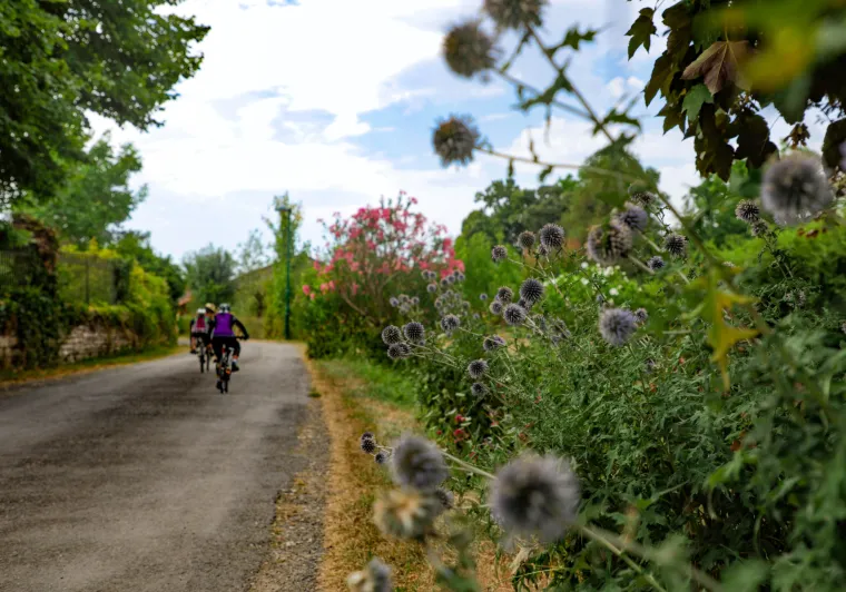 À vélo entre Barro et Condac