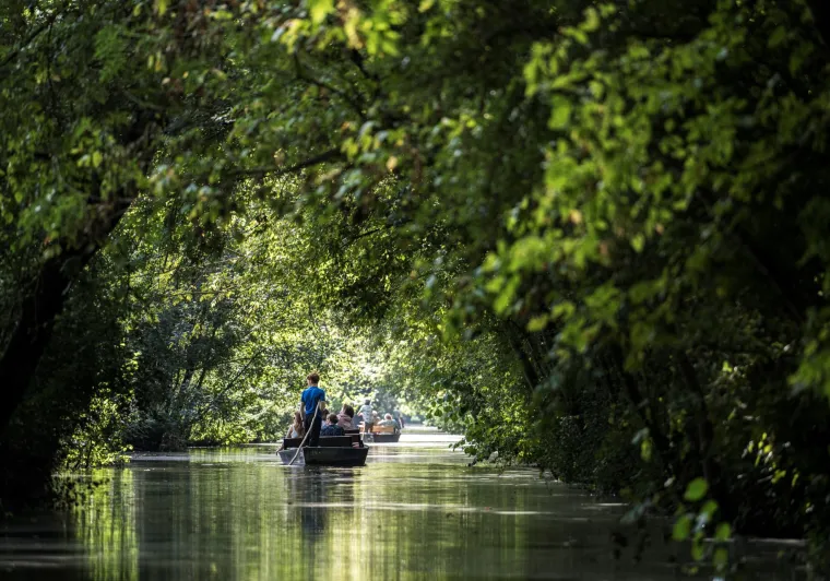 Balade en barque dans le Marais Poitevin