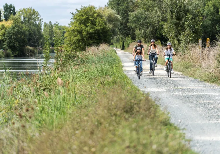 Découverte du Marais Poitevin à vélo