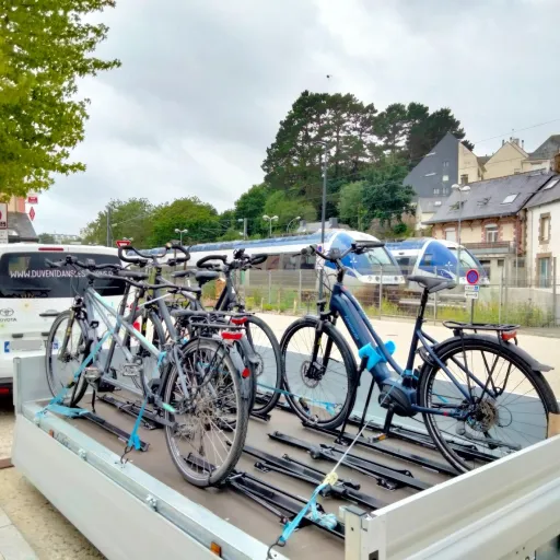 Sac De Transport Vélo LifeLine - Pour Vélo Et Roues - Grand, Noir