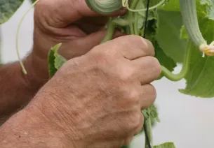 Les Jardins de l’Osme – Ferme bio