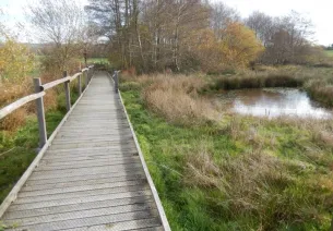 Espace naturel sensible de Mauléon