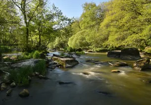 Vallée de la Sèvre Nantaise
