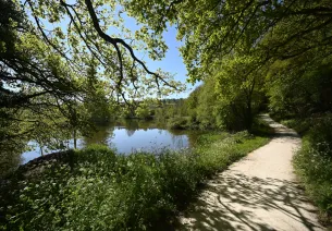 La petite Yvoie, vallée de la Sèvre Nantaise