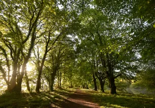 L'étang du beau soleil - La Bruffière en Vendée