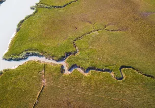 Observatoire du Lavau - Estuaire de la Loire