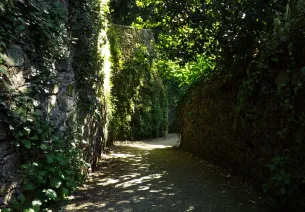 Ruelle Cuchaud