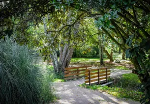 Passerelle dans les jardins de l'Argentor