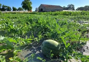 les jardins de l'osme 