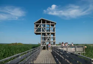 Les Nids-Observatoires