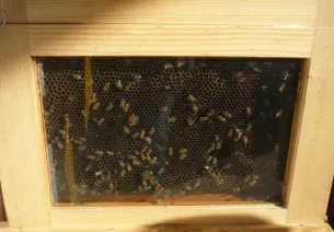La Miellerie de Surimeau