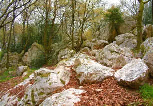 Site des rochers de Pyrôme, Mauléon (Deux-Sèvres)
