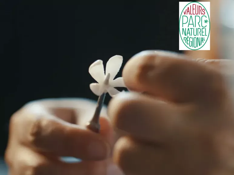 Les fleurs de Maelenn