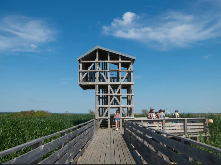 Les Nids-Observatoires